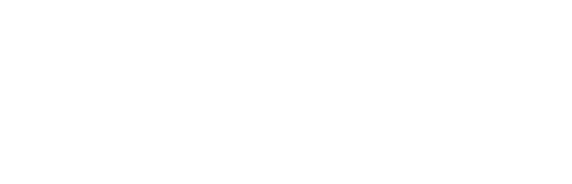 FAHRZEUGSICHERHEIT